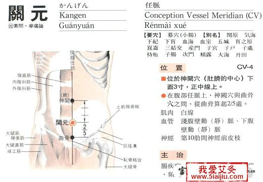 點擊將在新窗口查看全圖 五種肥胖的中醫艾灸減肥新方法【附圖文】