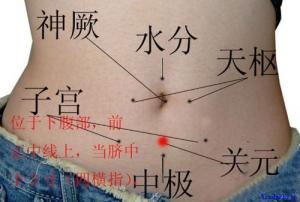 點擊將在新窗口查看全圖 五種肥胖的中醫艾灸減肥新方法【附圖文】